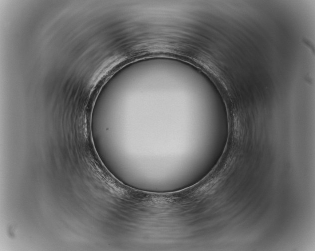 X0000101950782200808011044