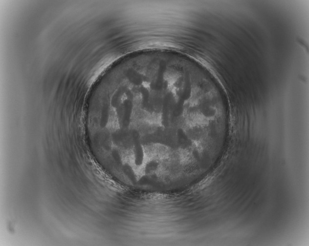 X0000101950783200808011044