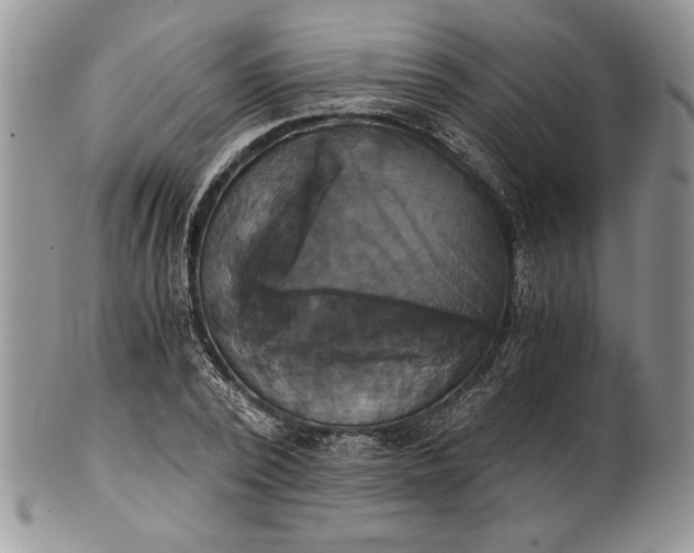 X0000101950784200808011044