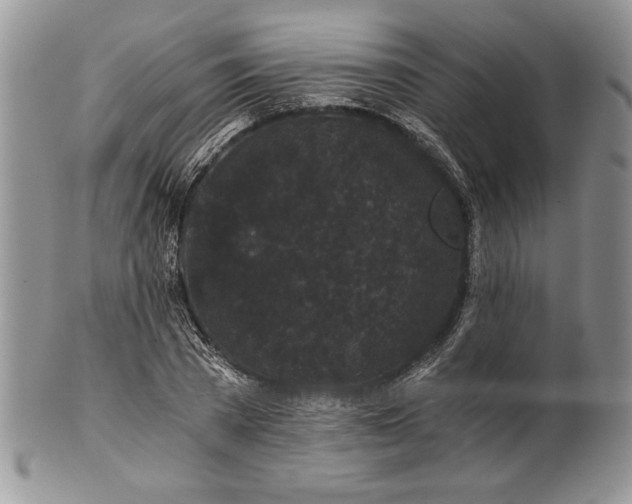 X0000101950785200808011044