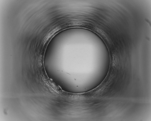 X0000101950786200808011044