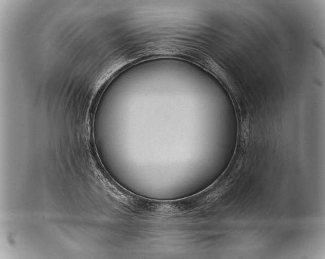 X0000101950787200808011044