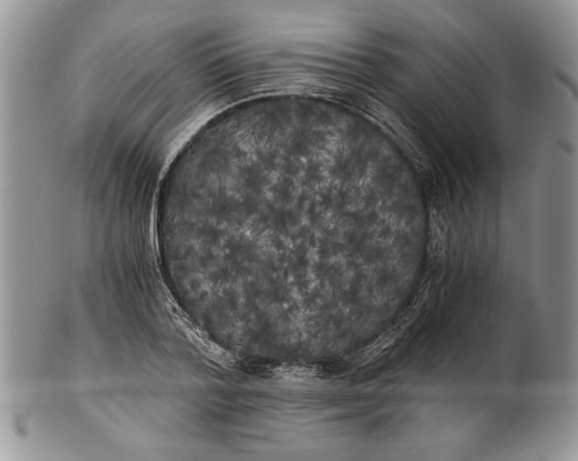 X0000101950788200808011044