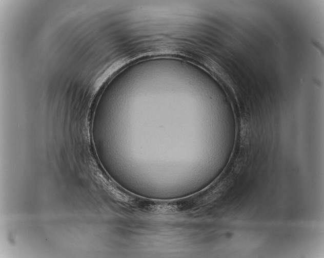 X0000101950789200808011044