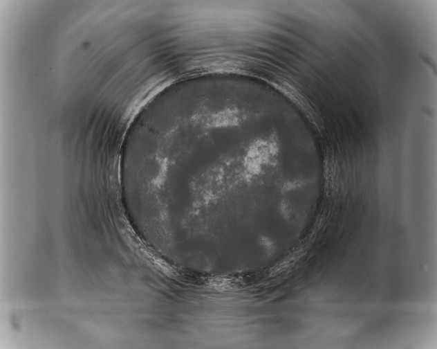 X0000101950790200808011044