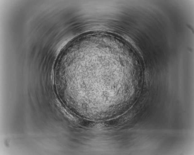 X0000101950791200808011044