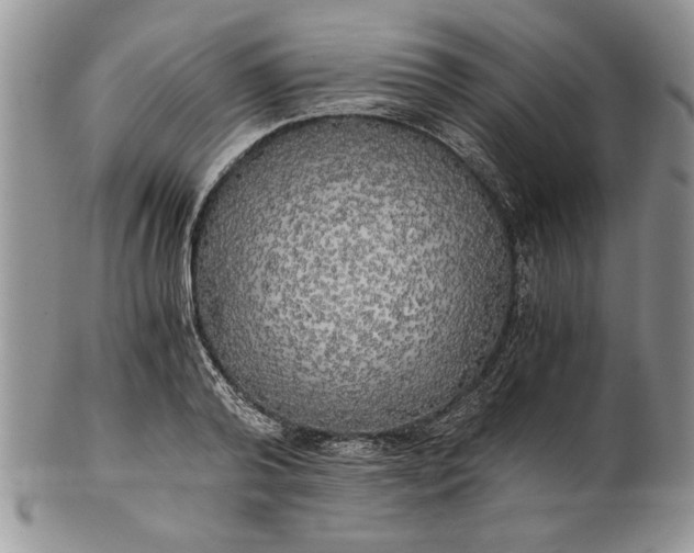 X0000101950792200808011044