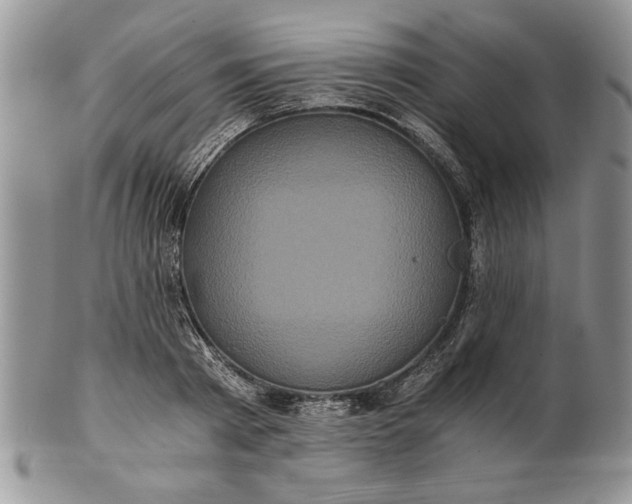 X0000101950793200808011044