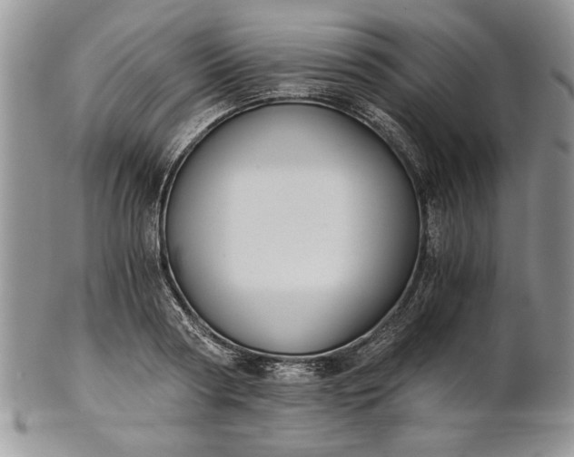 X0000101950794200808011044