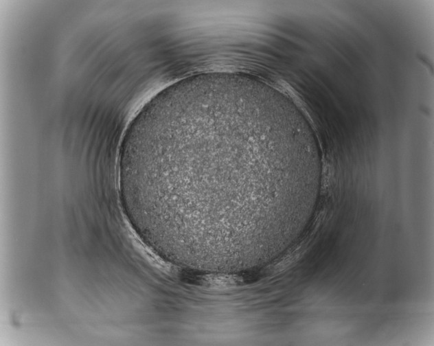 X0000101950795200808011044