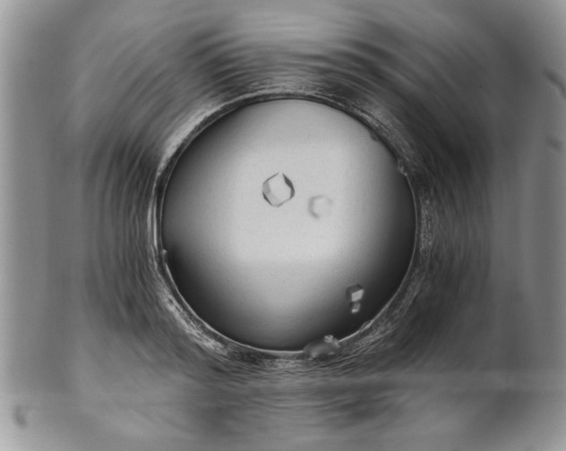 X0000101950796200808011044