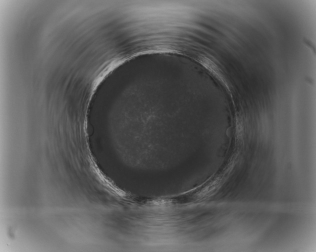 X0000101950797200808011044