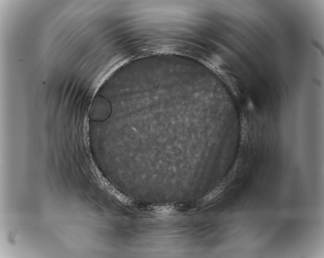 X0000101950798200808011044