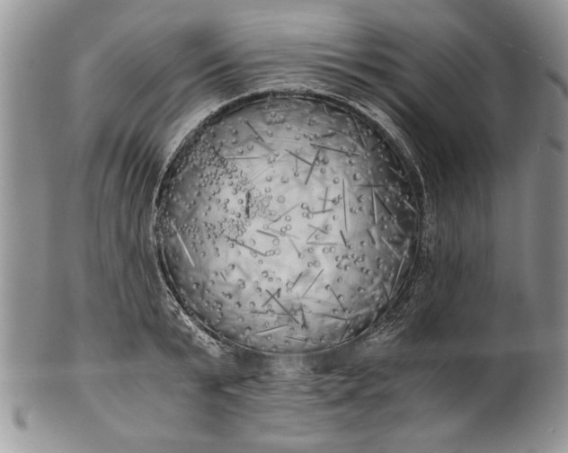 X0000101950799200808011044