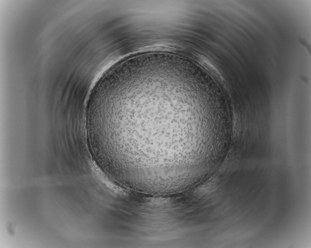 X0000101950800200808011044