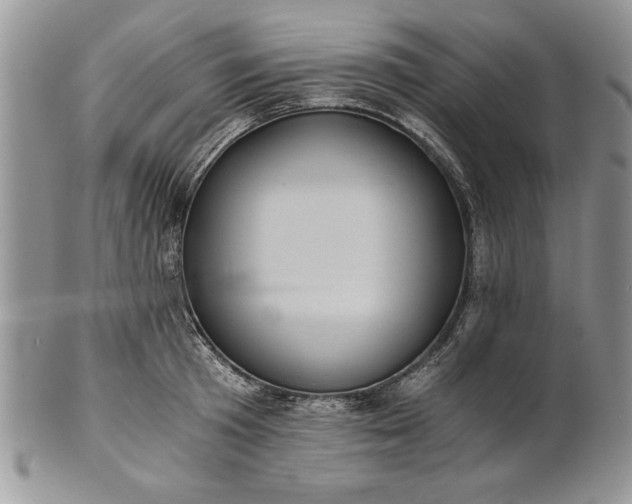 X0000101950801200808011044