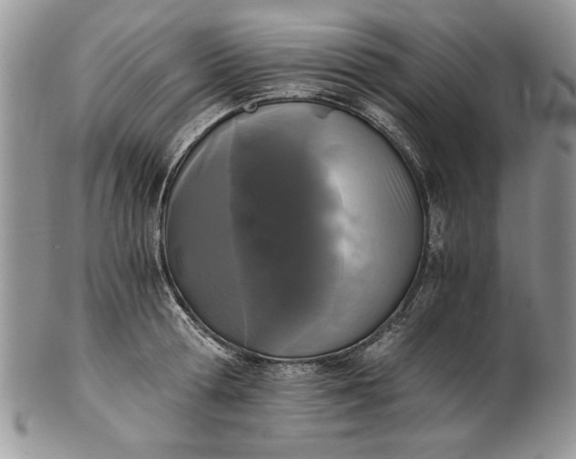 X0000101950802200808011044