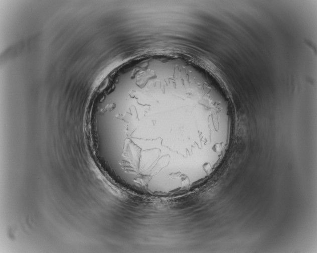 X0000101950803200808011044