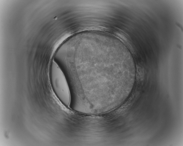 X0000101950804200808011044