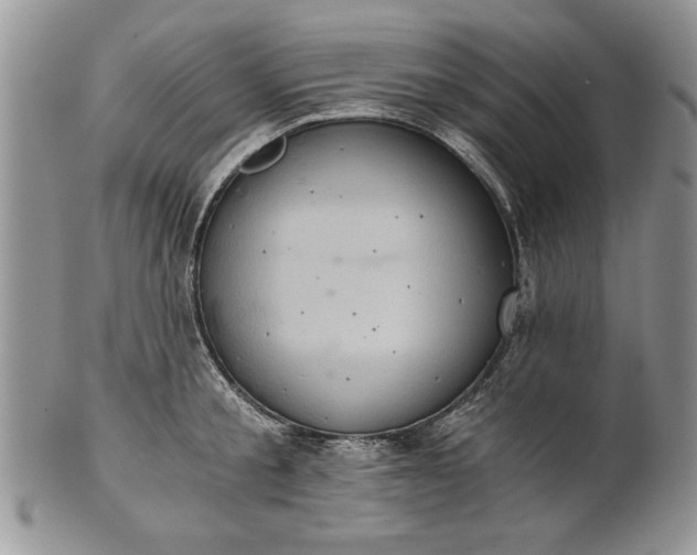 X0000101950805200808011044