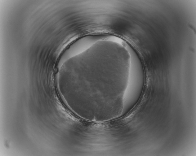 X0000101950806200808011044