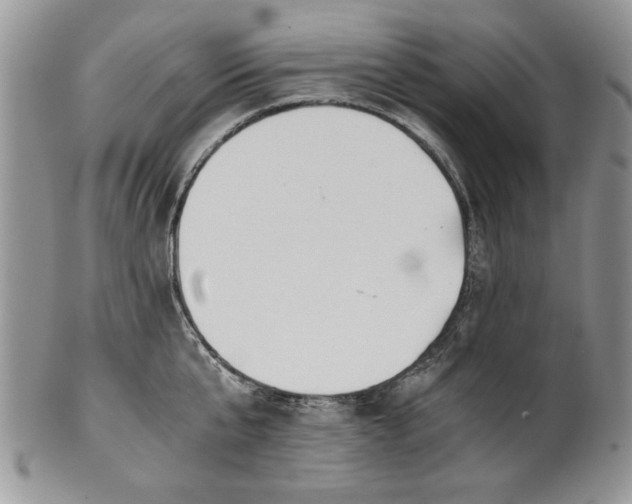 X0000101950807200808011044