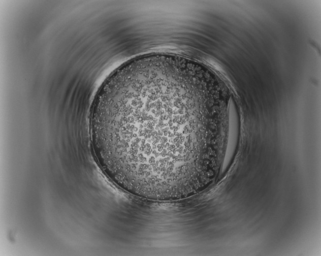 X0000101950808200808011044