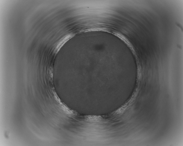 X0000101950809200808011044