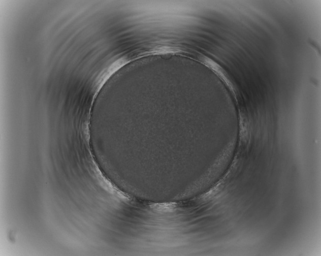 X0000101950810200808011044