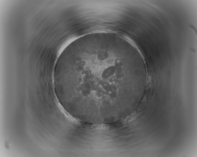 X0000101950811200808011044