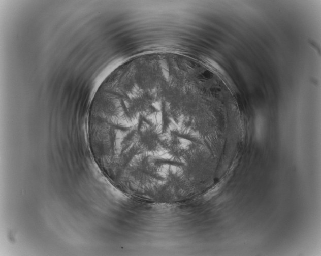 X0000101950812200808011044