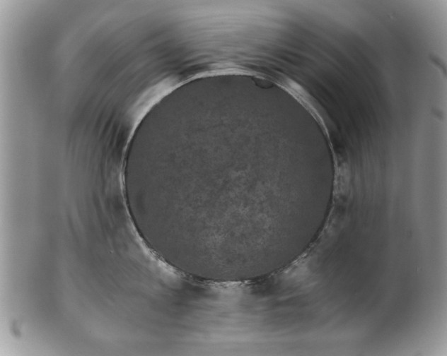 X0000101950813200808011044