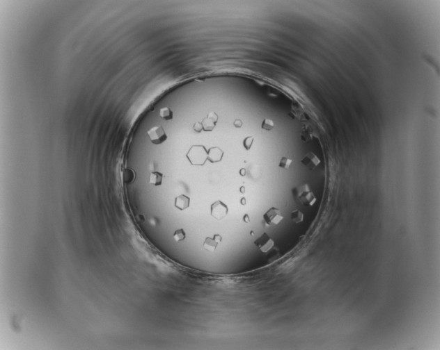 X0000101950814200808011044