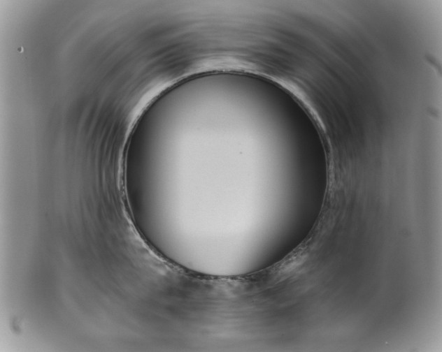 X0000101950815200808011044