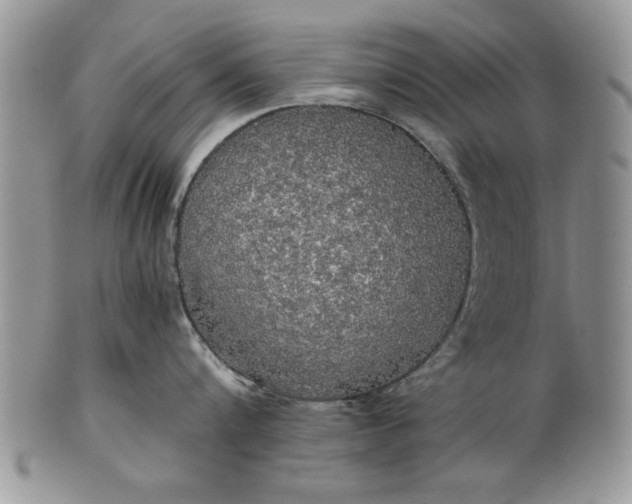 X0000101950816200808011044