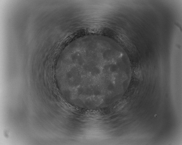 X0000101950817200808011043