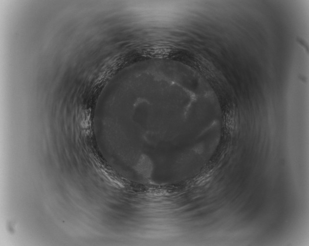 X0000101950818200808011043