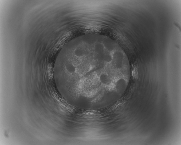 X0000101950819200808011043