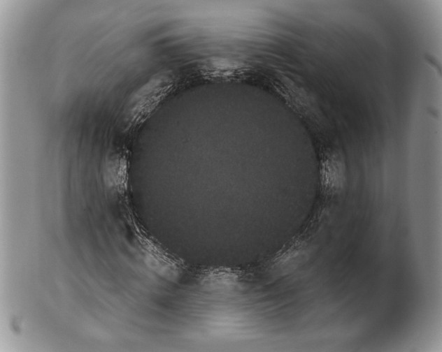 X0000101950820200808011043