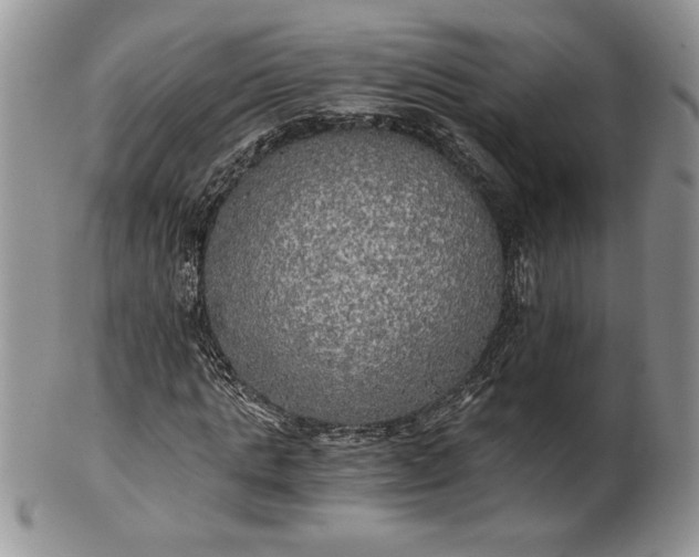 X0000101950821200808011043