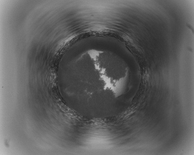 X0000101950822200808011043