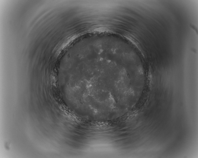 X0000101950823200808011043