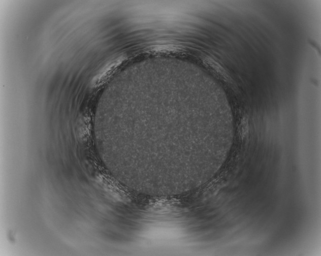 X0000101950824200808011043