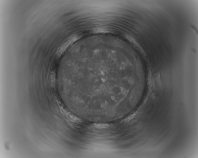 X0000101950825200808011043