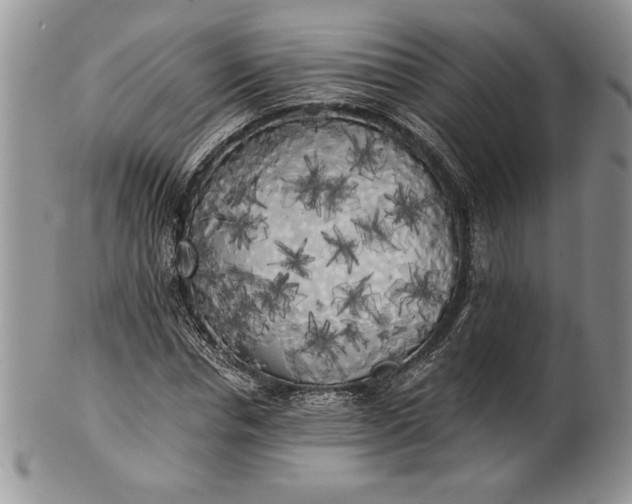 X0000101950826200808011043