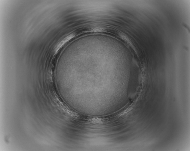 X0000101950827200808011043