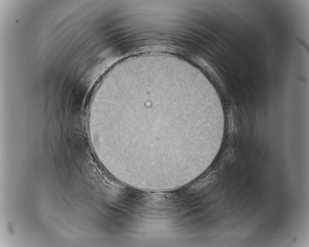 X0000101950828200808011043