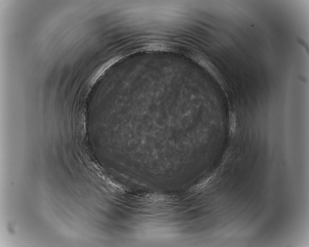 X0000101950829200808011043