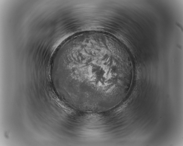 X0000101950830200808011043