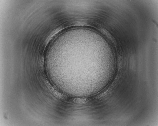 X0000101950831200808011044